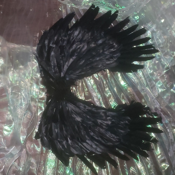 Black Feather Wings - Picture 4 of 4